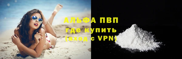 стаф Абаза