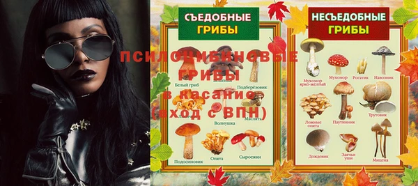 стаф Абаза
