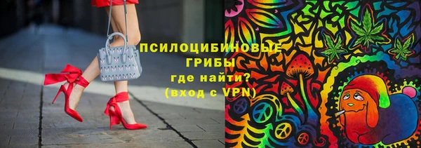 дмт Алексин